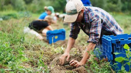 “Più controlli e tutela per i braccianti agricoli”