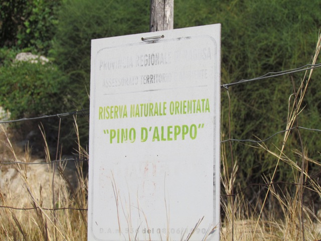 Vittoria: approvato il progetto “Le Antiche vie del Pino d’Aleppo” per il recupero e la valorizzazione dei percorsi storici