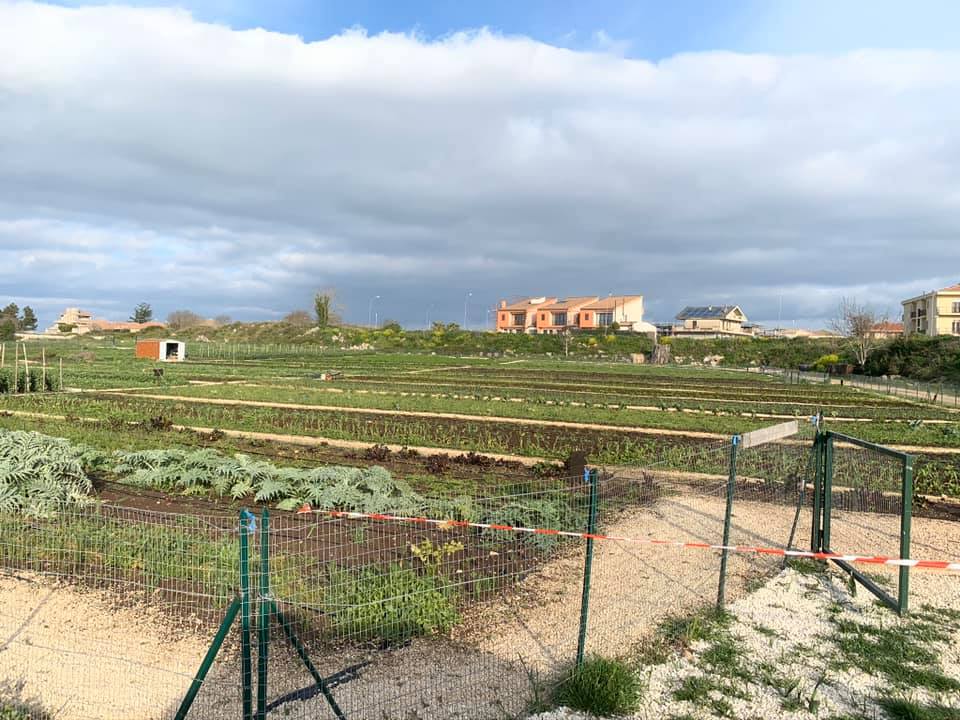 Ortaggi e verdure in dono alla comunità Oasi Don Bosco di Ispica dagli orti sociali della cooperativa Proxima Ragusa