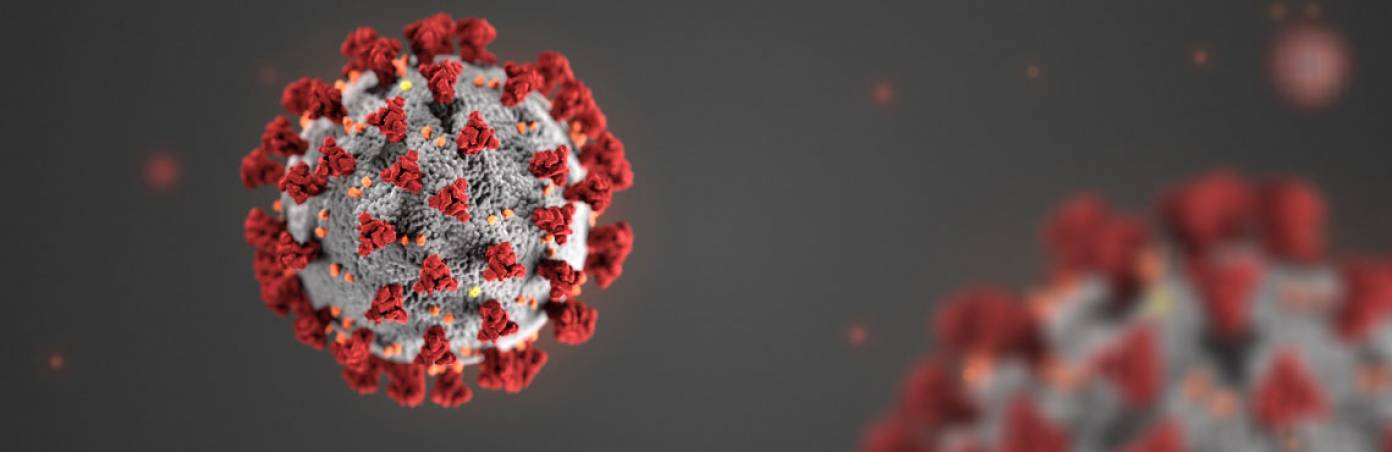 Coronavirus: ultimi aggiornamenti in Sicilia. Trasmessi a Roma 83 campioni Nuovi casi a Caltagirone, Marsala e Alcamo