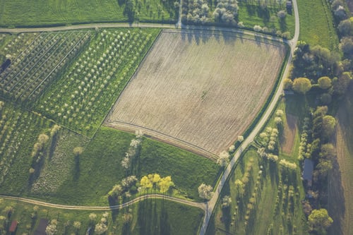 Terreno agricolo concesso in mezzadria