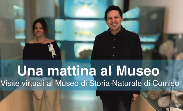 Una “Mattina al museo”: sei video di divulgazione scientifica per raccontare il museo di storia naturale di Comiso