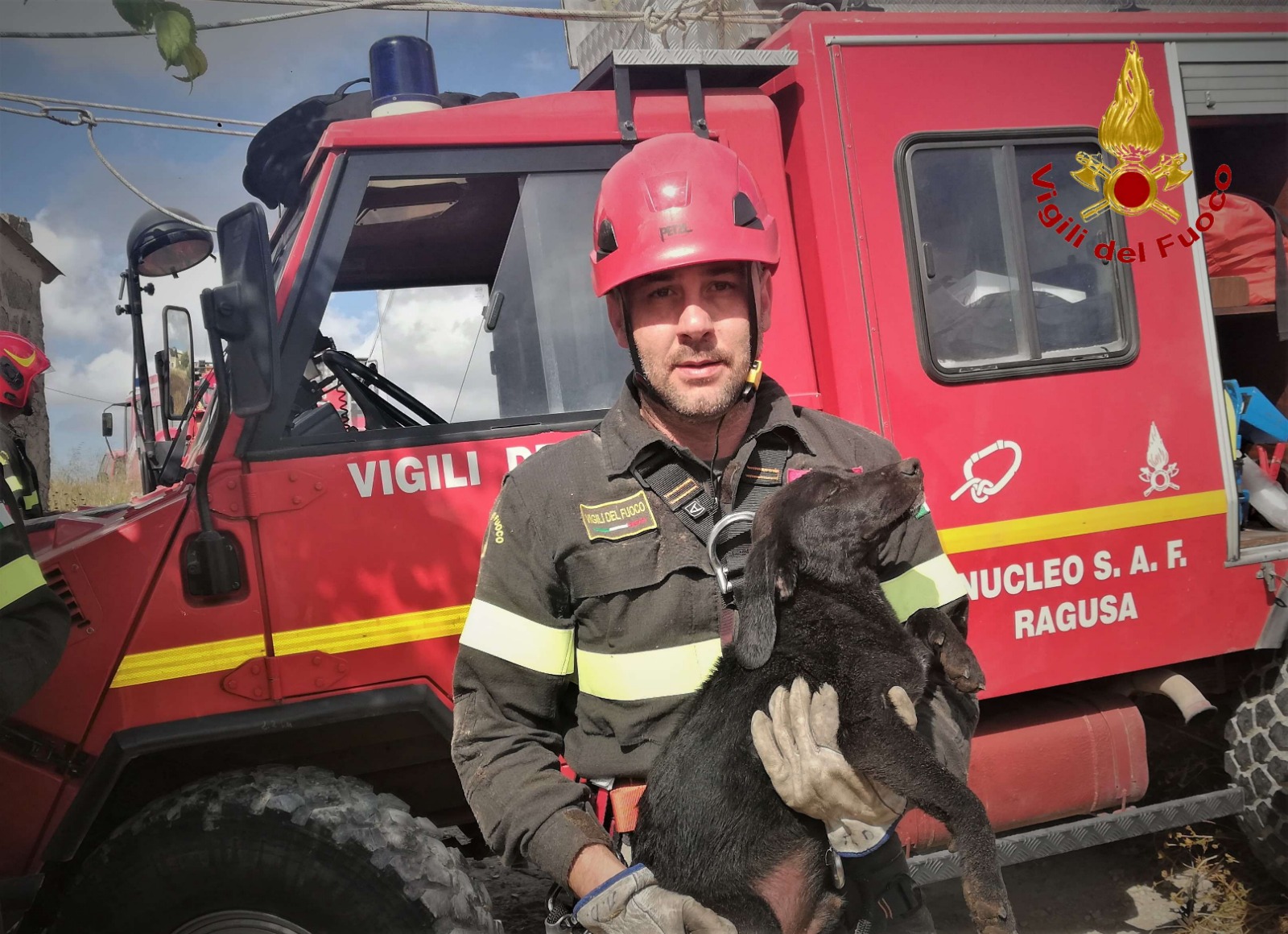 Vittoria: i vigili del fuoco recuperano un cucciolo caduto in un pozzo profondo oltre 30 metri. VIDEO