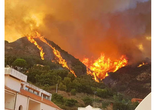 Piromani? Follia? O strategia? Cosa si nasconde dietro i roghi in Sicilia? Alcune riflessioni alla luce dei gravi eventi di questi giorni