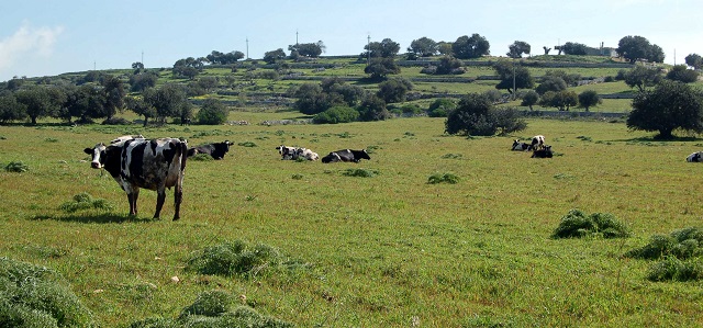 “Settimana dell’ambiente”: incontro con le associazioni indetto dal Libero Consorzio