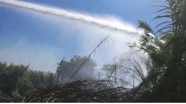 E’ ripreso stamani l’incendio alla foce dell’Irminio