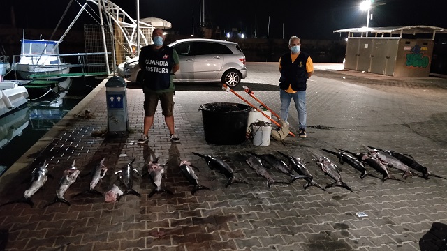 Scoglitti: 15 kg di pesce spada pescato illegalmente, denunciato un 51enne vittoriese