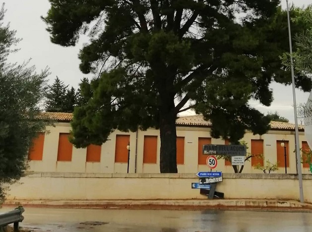 Chiaramonte. Questo pino sarà abbattuto: “Non si poteva metterlo in sicurezza e salvarlo?”