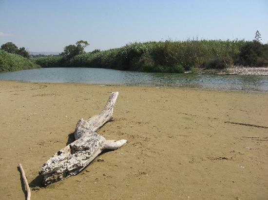 Fiumi e torrenti: stato ecologico cattivo per Ippari e Modica, meglio l’Irminio