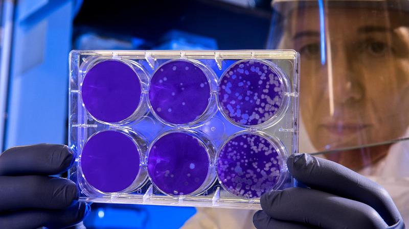 Coronavirus: nessun morto in provincia. Calano i positivi