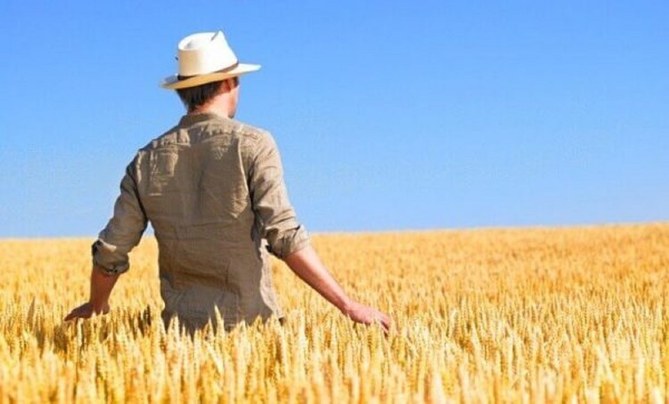 Gestione e Innovazione: a Ragusa nasce il corso per i manager dell’agricoltura di domani