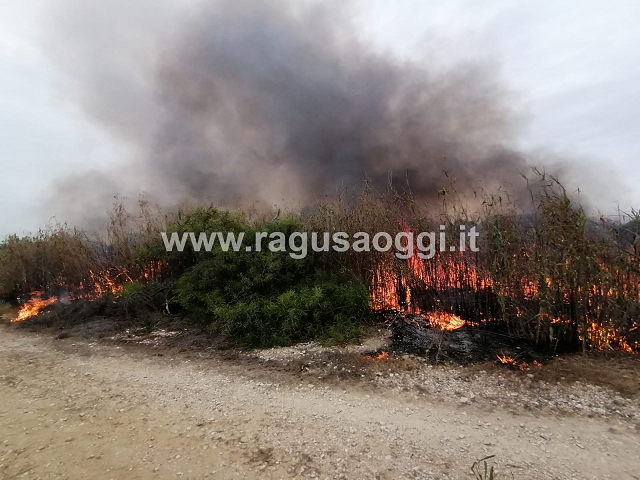 Incendio vicino la forestale di Randello