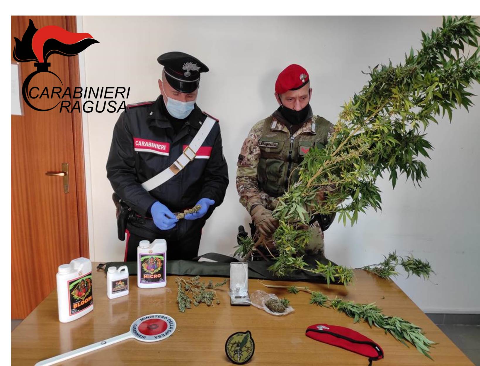 Vittoria: aveva due piante di cannabis indica in casa, arrestato