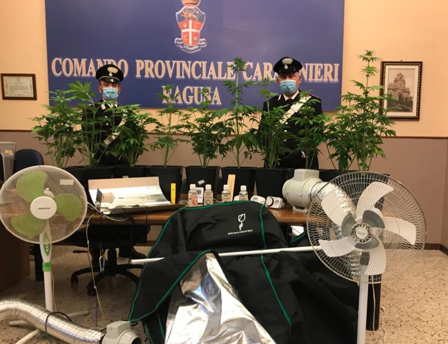 Ragusa: curavano una florida coltivazione indoor di marijuana, arrestati due giovani