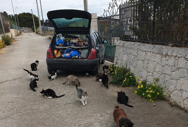 E’ stata ritrovata l’auto di Giuseppe Migliorisi, “l’angelo dei gatti”