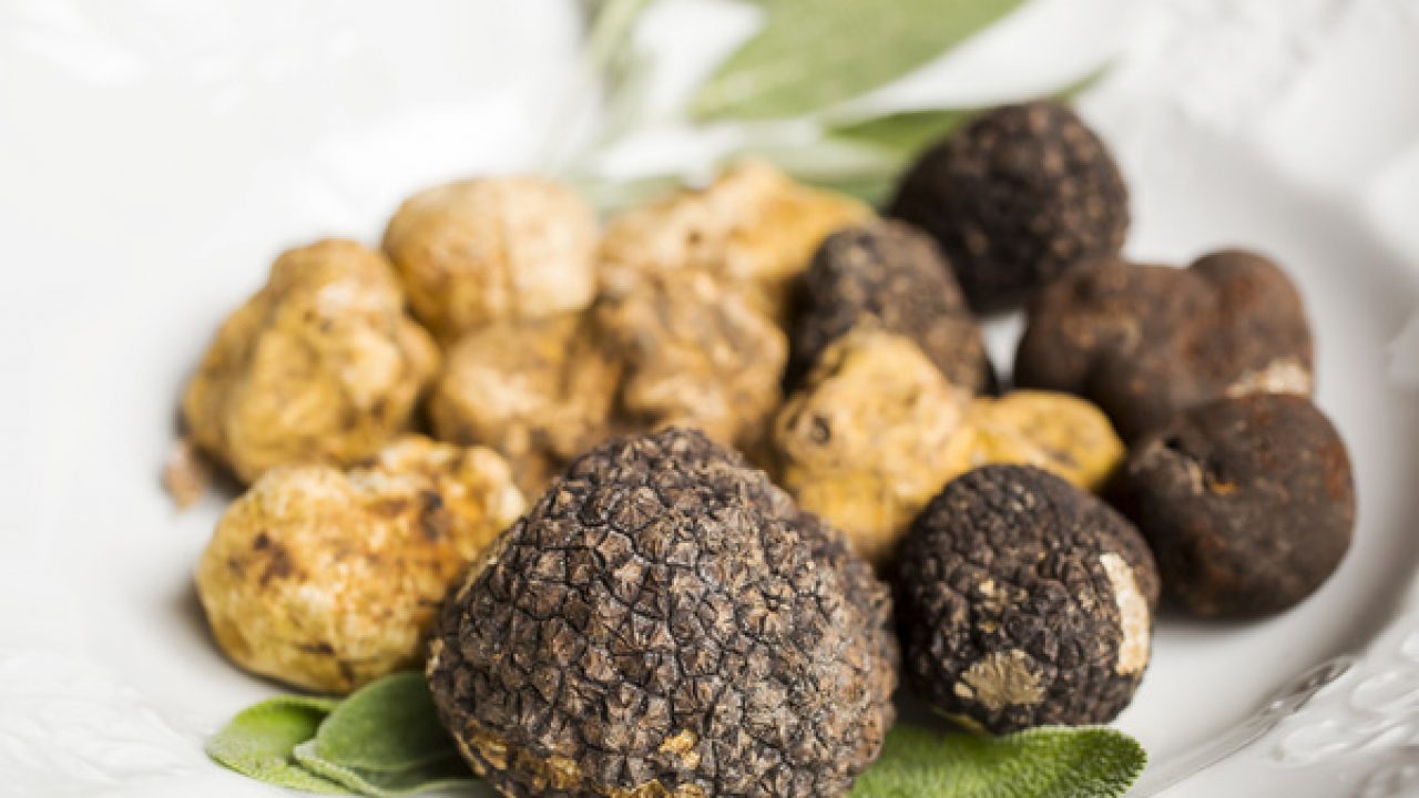 Tartufo, il tesoro nascosto siciliano. Arriva il regolamento