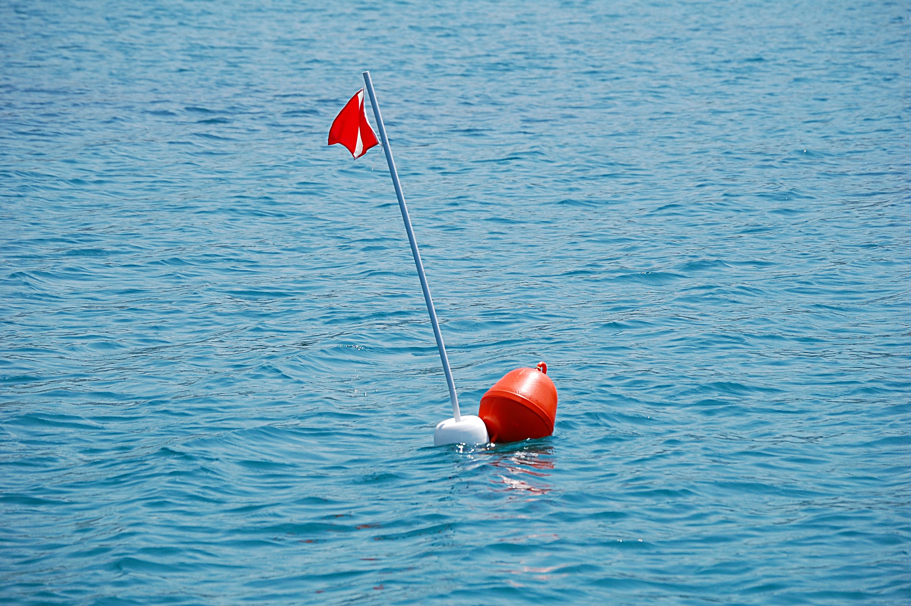 Il Mediterraneo è il mare più inquinato al mondo per microplastiche: allarme per ecosistemi e salute