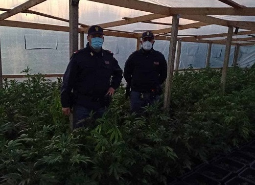 Una serra di marijuana trovata a Vittoria, arrestato un uomo di 54 anni