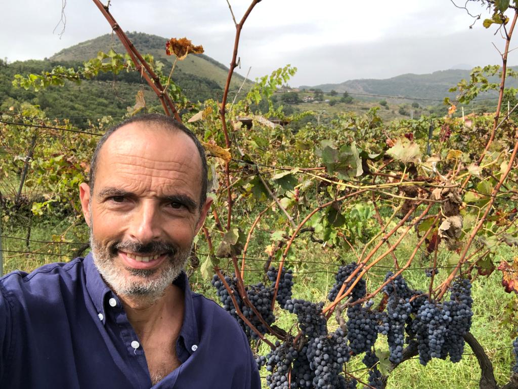 Consorzio Cerasuolo di Vittoria, Achille Alessi riconfermato alla presidenza