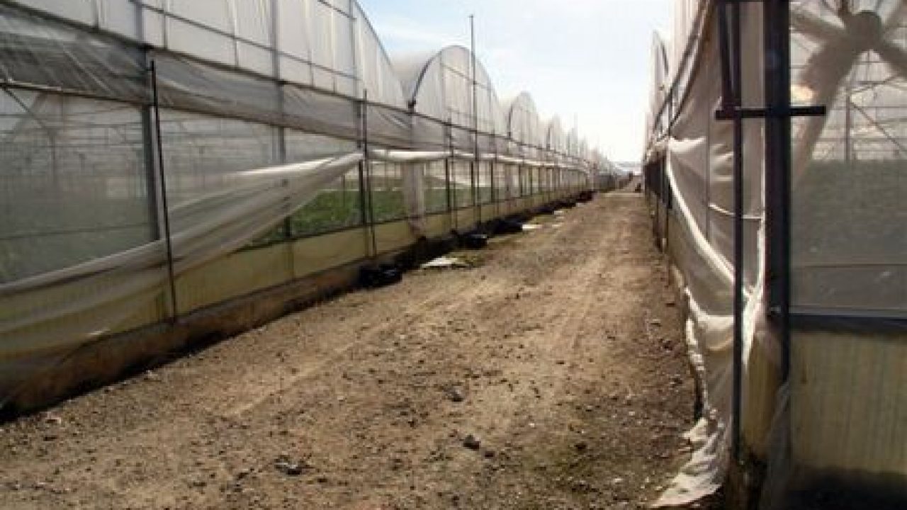 Cene itineranti per aggregare giovani agricoltori. “Contadinner” da importare nel Ragusano. Curiosità ed interesse per il format nato in Puglia