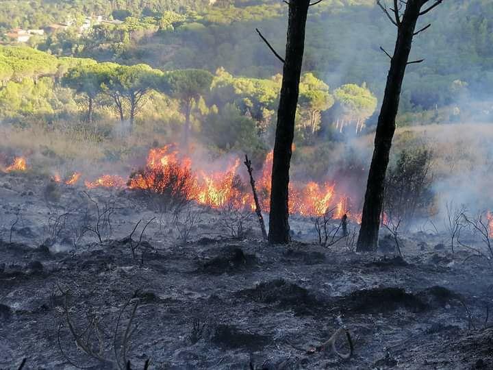 Rischio incendi: Ragusa attiva il presidio territoriale di Protezione Civile