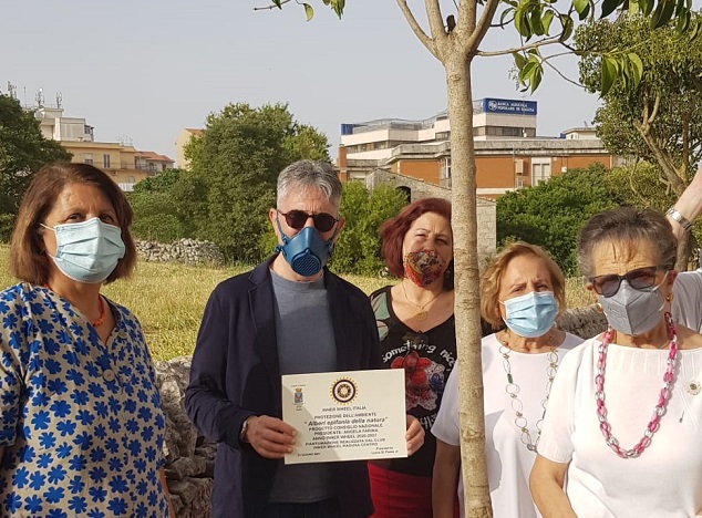 Un albero di “Ligustrum” piantumato in Corso Vittorio Veneto a Ragusa. L’iniziativa