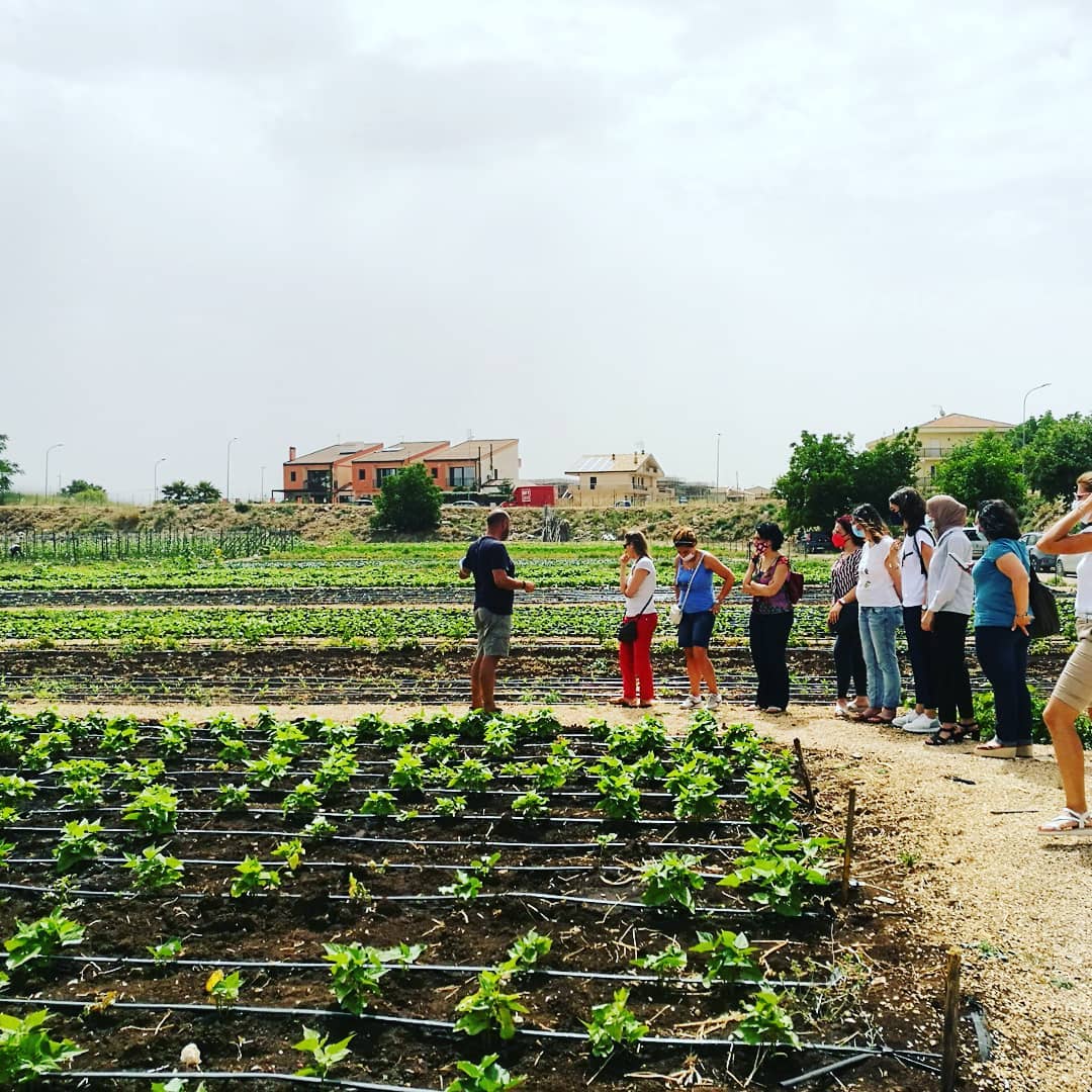 Una delegazione di Save the Children Italia in visita agli orti sociali della cooperativa Proxima Ragusa
