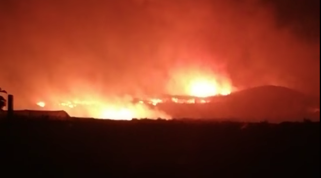Incendi,  Legambiente: “In Sicilia nessuna attività di prevenzione”