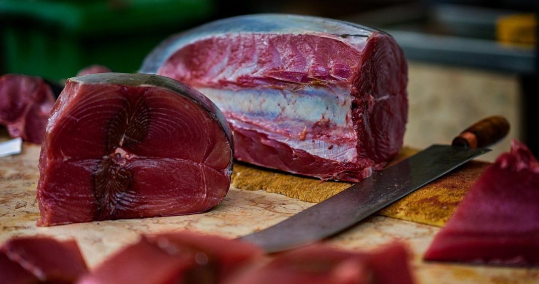 Tonno, questa è la stagione: il vadamecum per un consumo consapevole