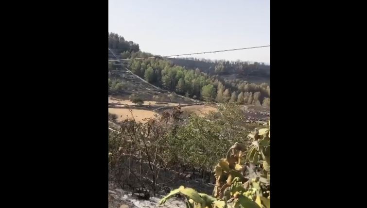 Sopralluogo di Prefettura e sindaco di Ragusa sui luoghi dell’incendio. In zona attivi ancora parecchi roghi e focolai
