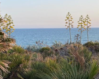 Campo di volontariato Legambiente a Costa di Carro a Scicli. Ecco come aderire