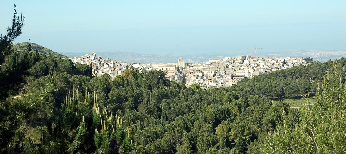 Una raccolta fondi per valorizzare la Pineta di Chiaramonte Gulfi