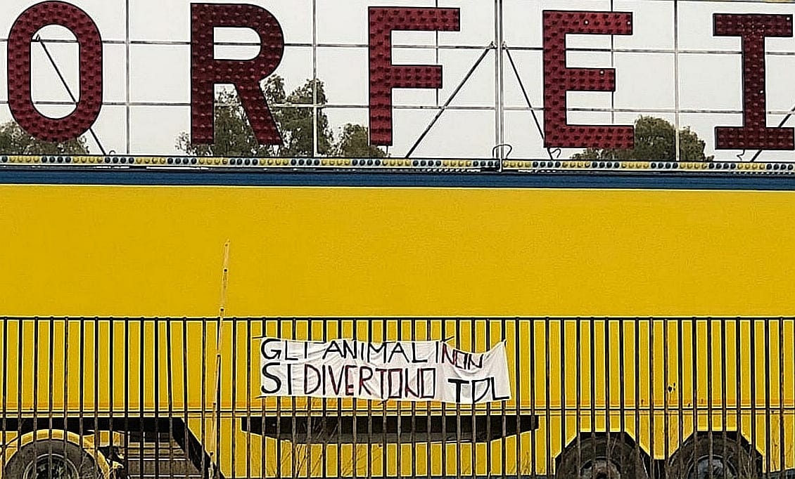 Vittoria, flash mod davanti al circo: “Gli animali non si divertono”