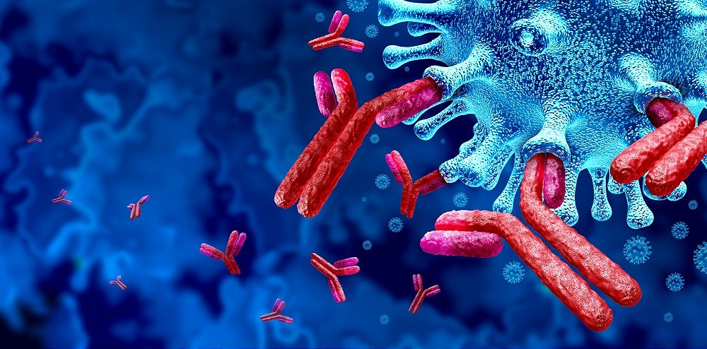 Hantavirus, cosa sappiamo davvero sul virus del focolaio sulla nave MV Hondius: qual è il rischio in Italia