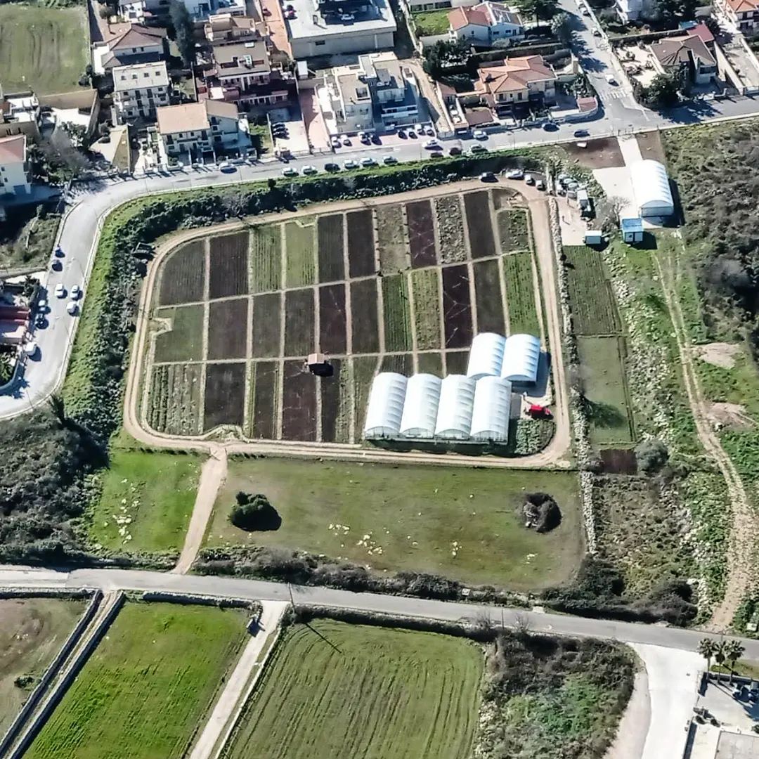 Orti sociali: in due ettari di terreno concessi dal comune di Ragusa la coltivazione di prodotti etici e genuini