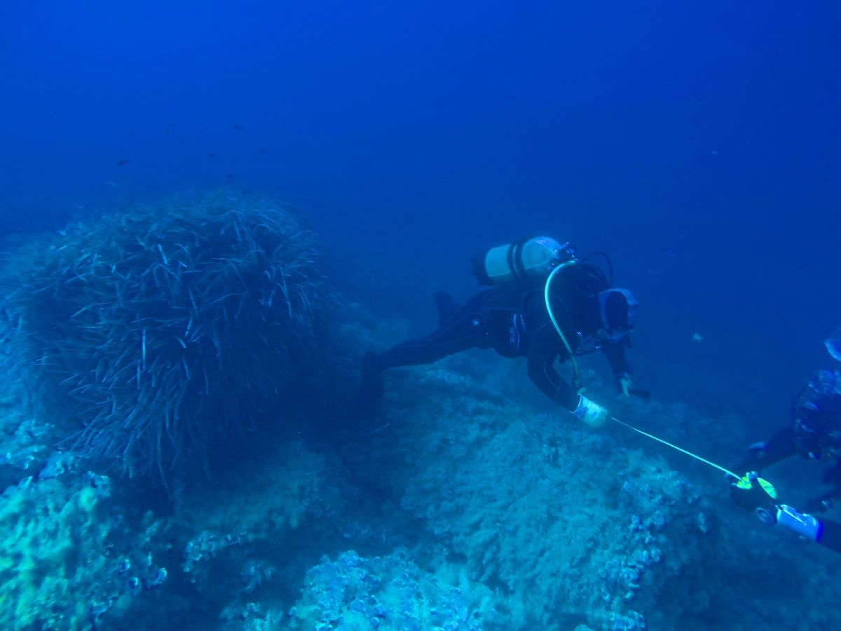 Archeologia: antico relitto ritrovato nelle acque di Pozzallo