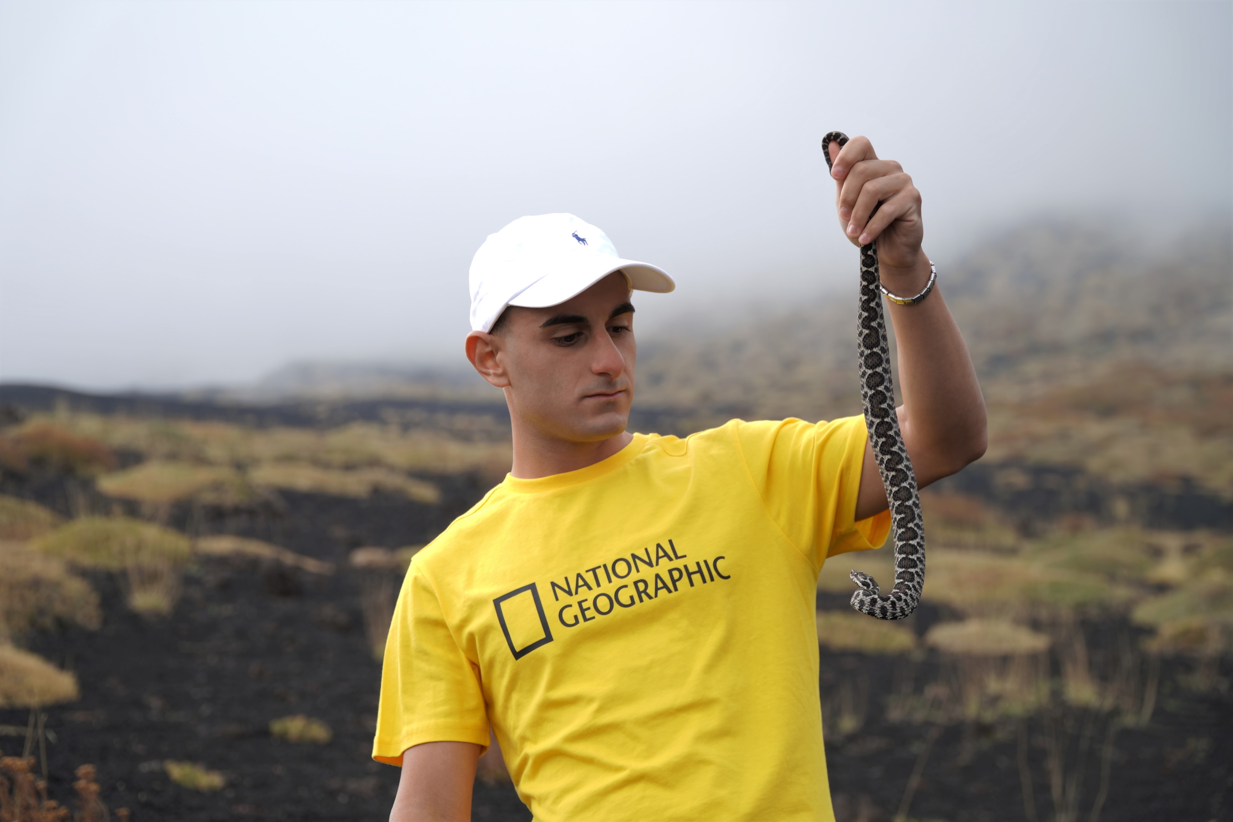 L’ambientalista Sebastian Colnaghi fotografa sull’Etna l’unica specie di vipera presente in Sicilia