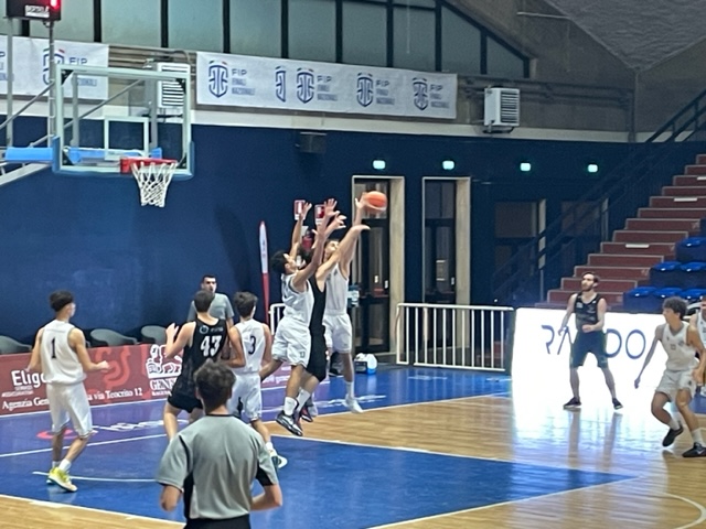 Basket Serie C: Virtus Ragusa cede il passo alla Panormus Palermo
