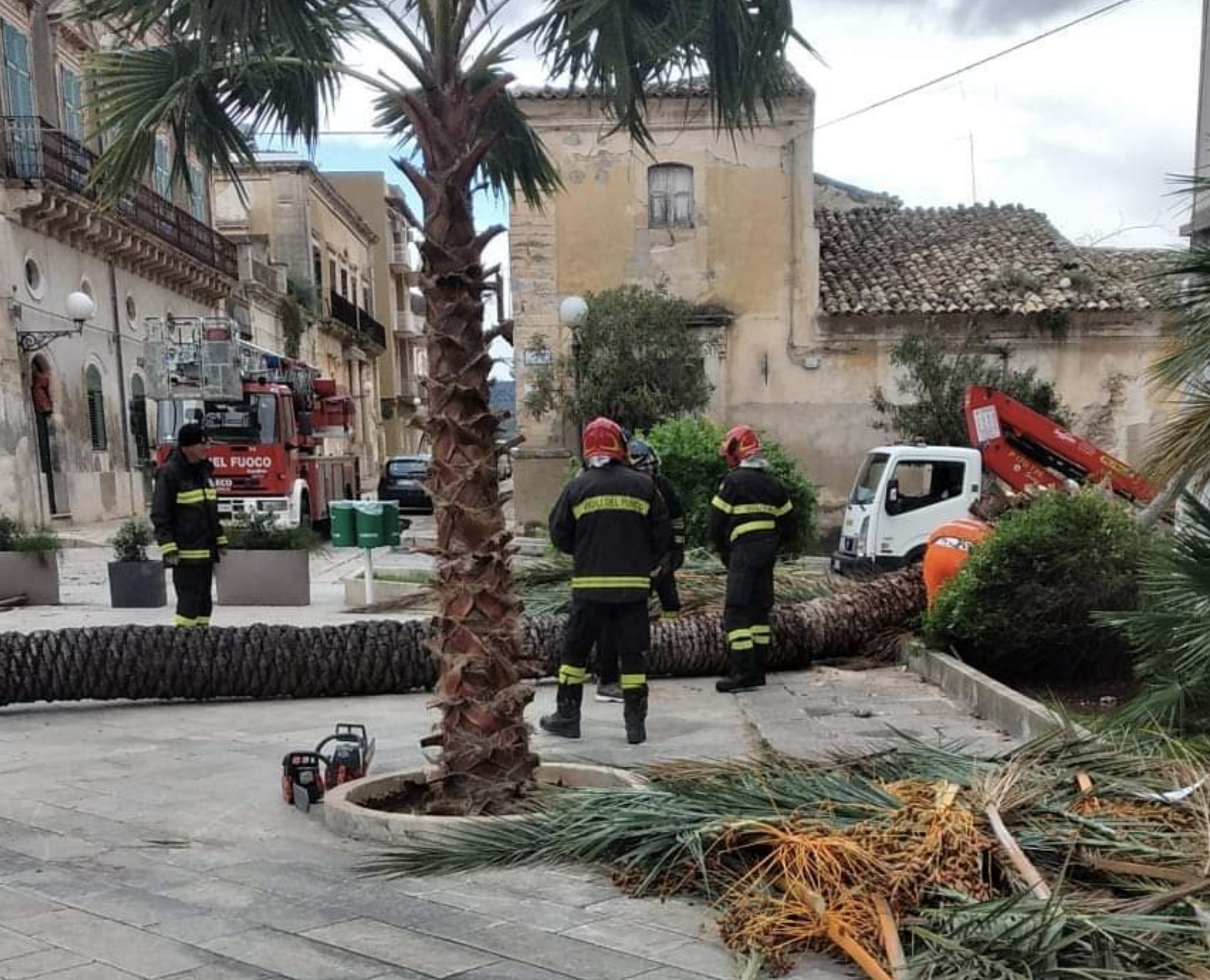 A Vittoria vari danni per maltempo. Caduta anche storica palma vicino al Comune