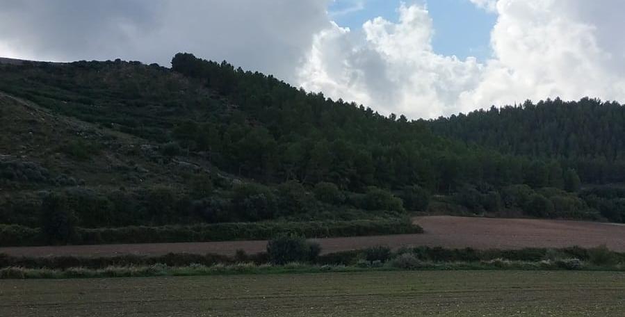 Tragedia a Comiso, giovane ritrovato morto, era uscito per una corsa