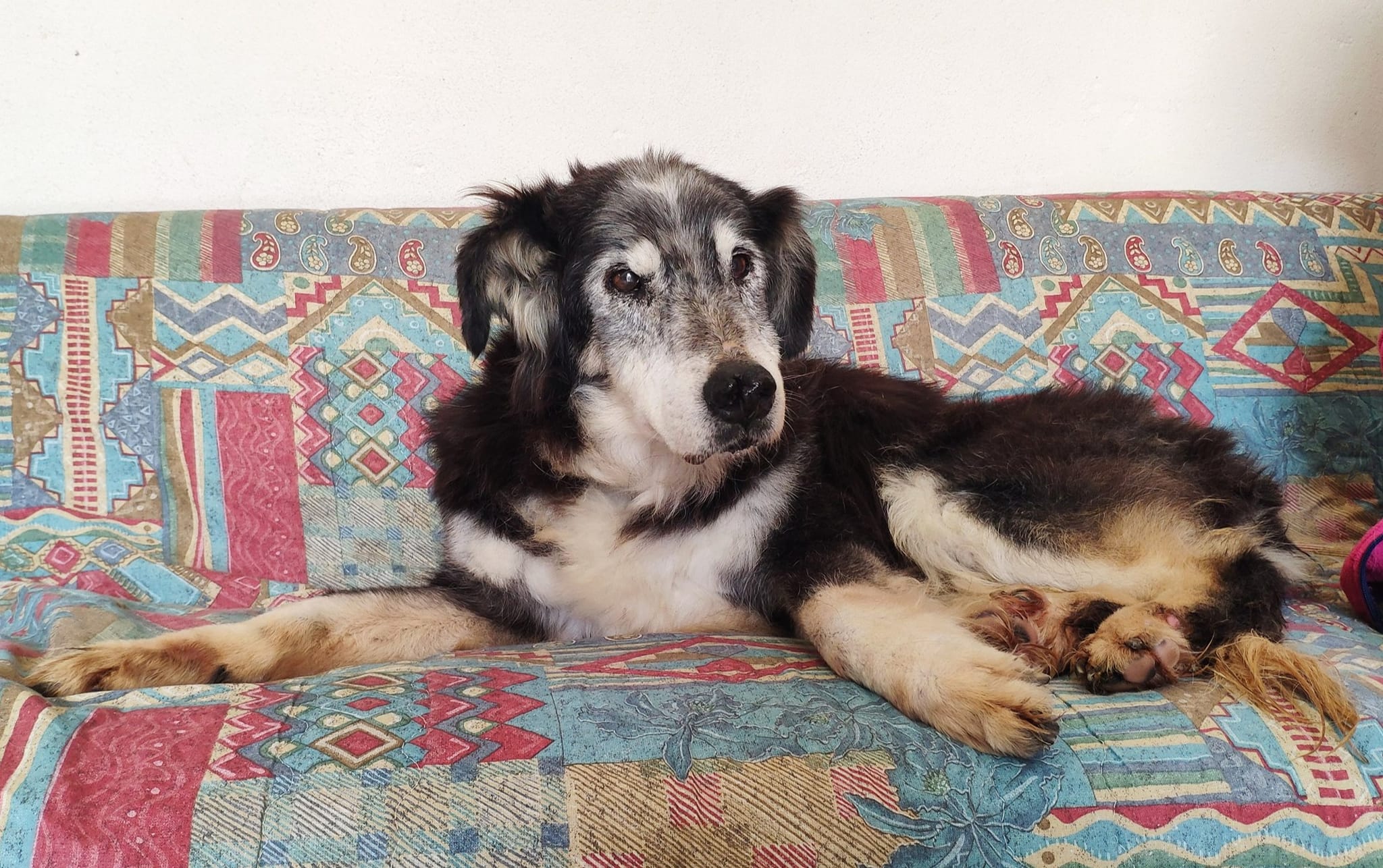 Gamma, adottata a 18 anni. Un evento più unico che raro