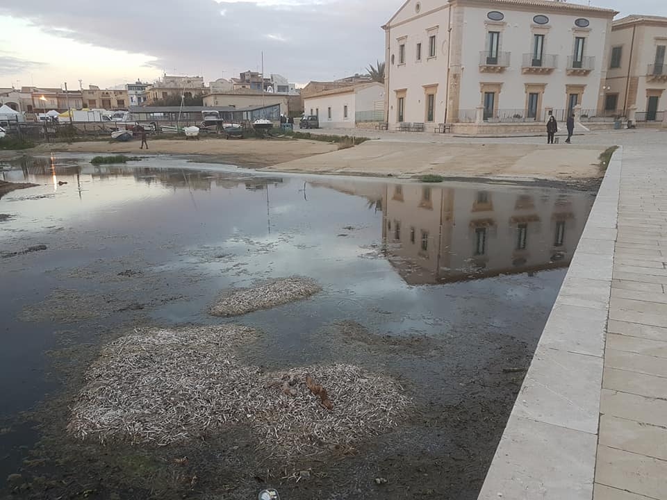 Dopo l’operazione “spiagge pulite” arriva quella della bonifica del porticciolo di Donnalucata