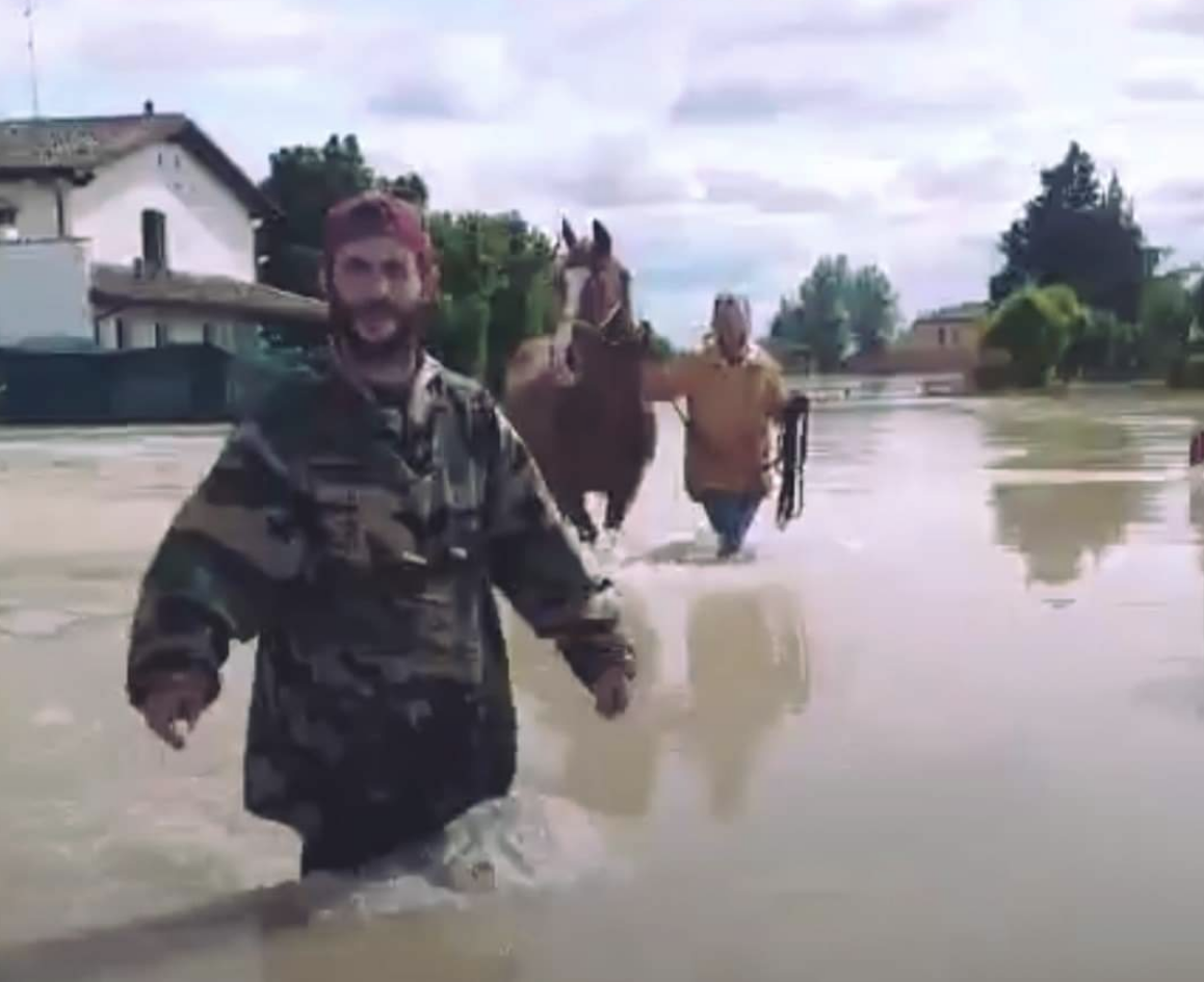 Il cuore di Carmelo da Acate e i “gladiatori”: salvati nel Ravennate oltre 100 animali