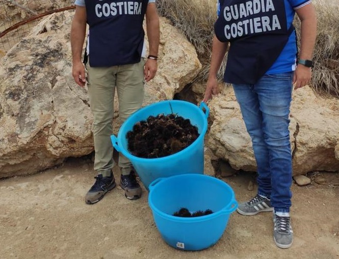 Pescavano illegalmente ricci di mare a Palo Bianco. Sequestro e multa