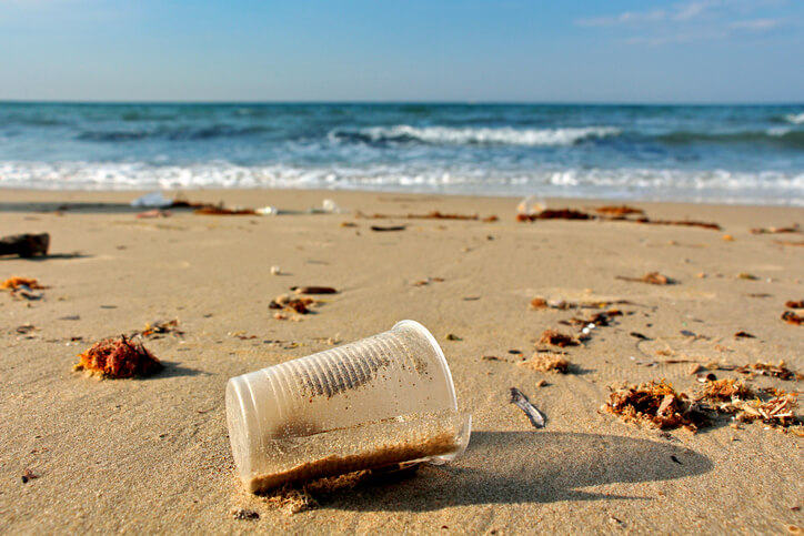 Tutti a pulire la spiaggia! A Marina, evento plastic free