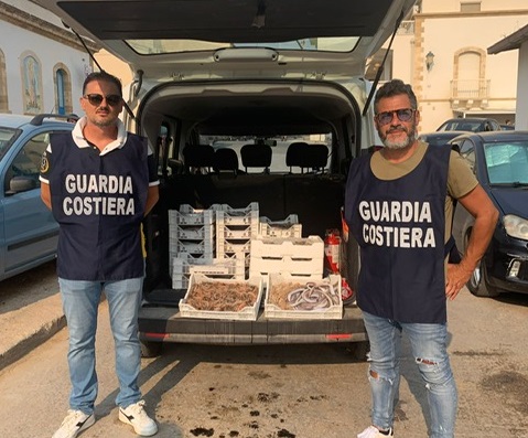100 Kg di pesce sequestrato a Scoglitti: era privo di tracciabilità