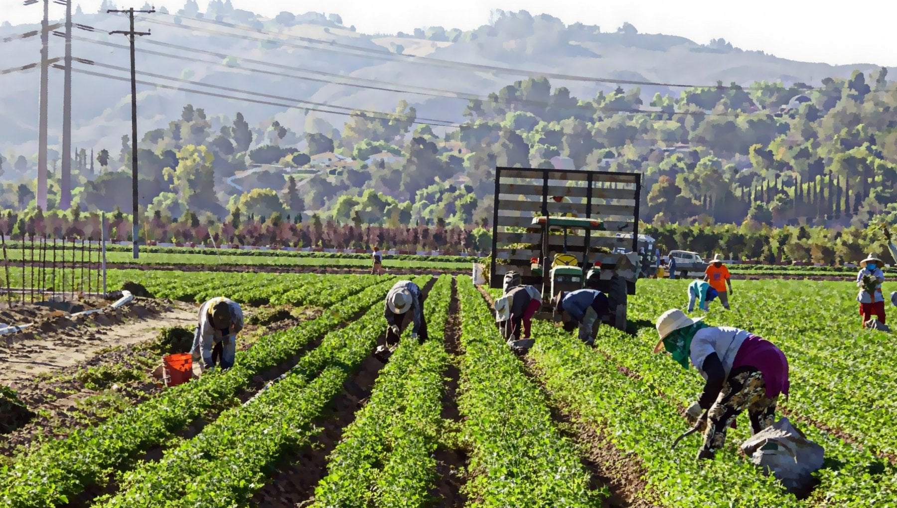Sfruttamento del lavoro: denunciati due imprenditori agricoli vittoriesi