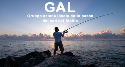 Tre assunzioni a supporto del CdA del Gal Pesca del sud est Sicilia. Conclusa la procedura di selezione pubblica con i nomi degli idonei