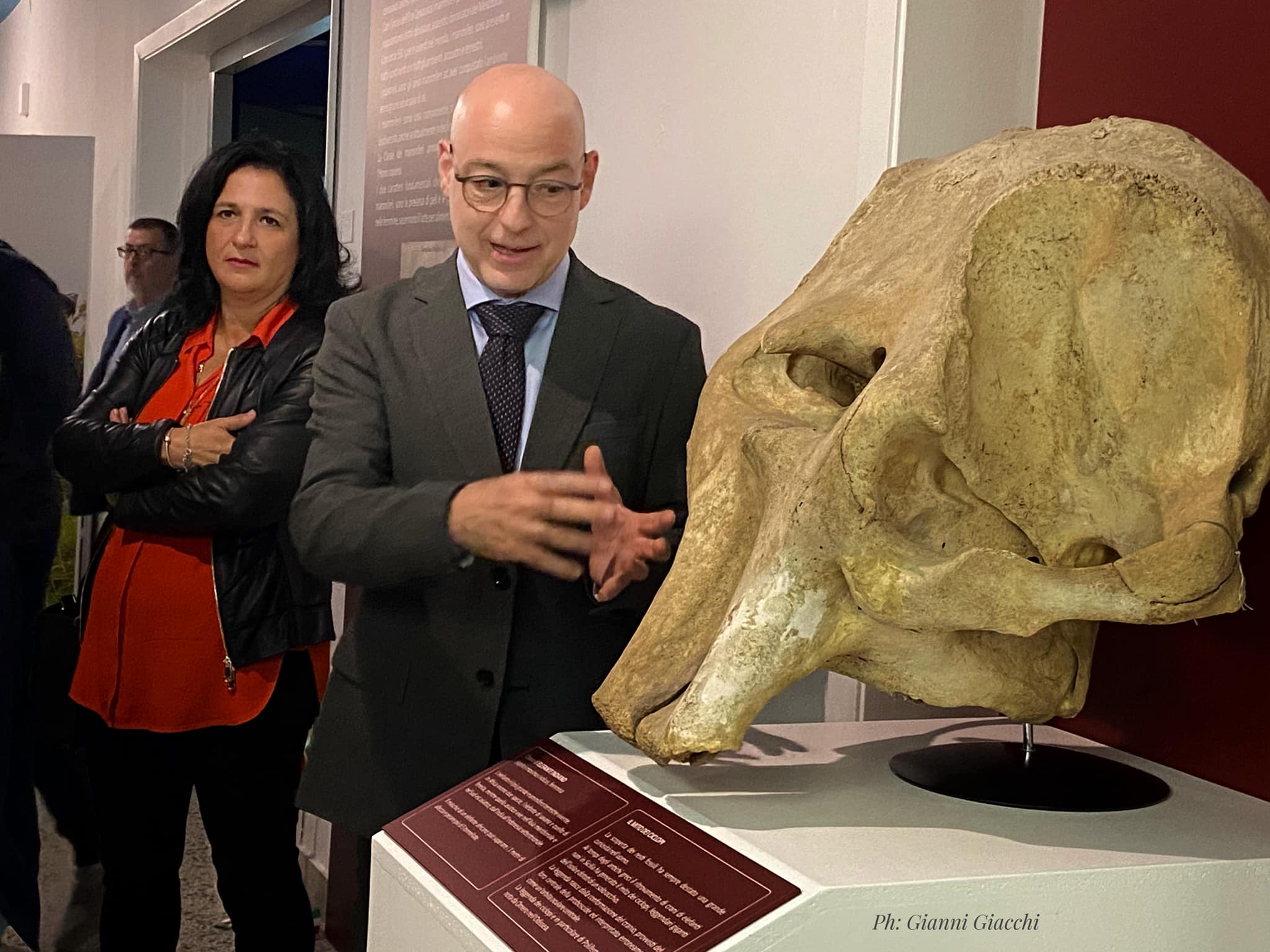 Il toporagno? Lo trovate al Museo civico di storia naturale a Comiso. Visite gratuite fino al 10 dicembre. FOTO GALLERY