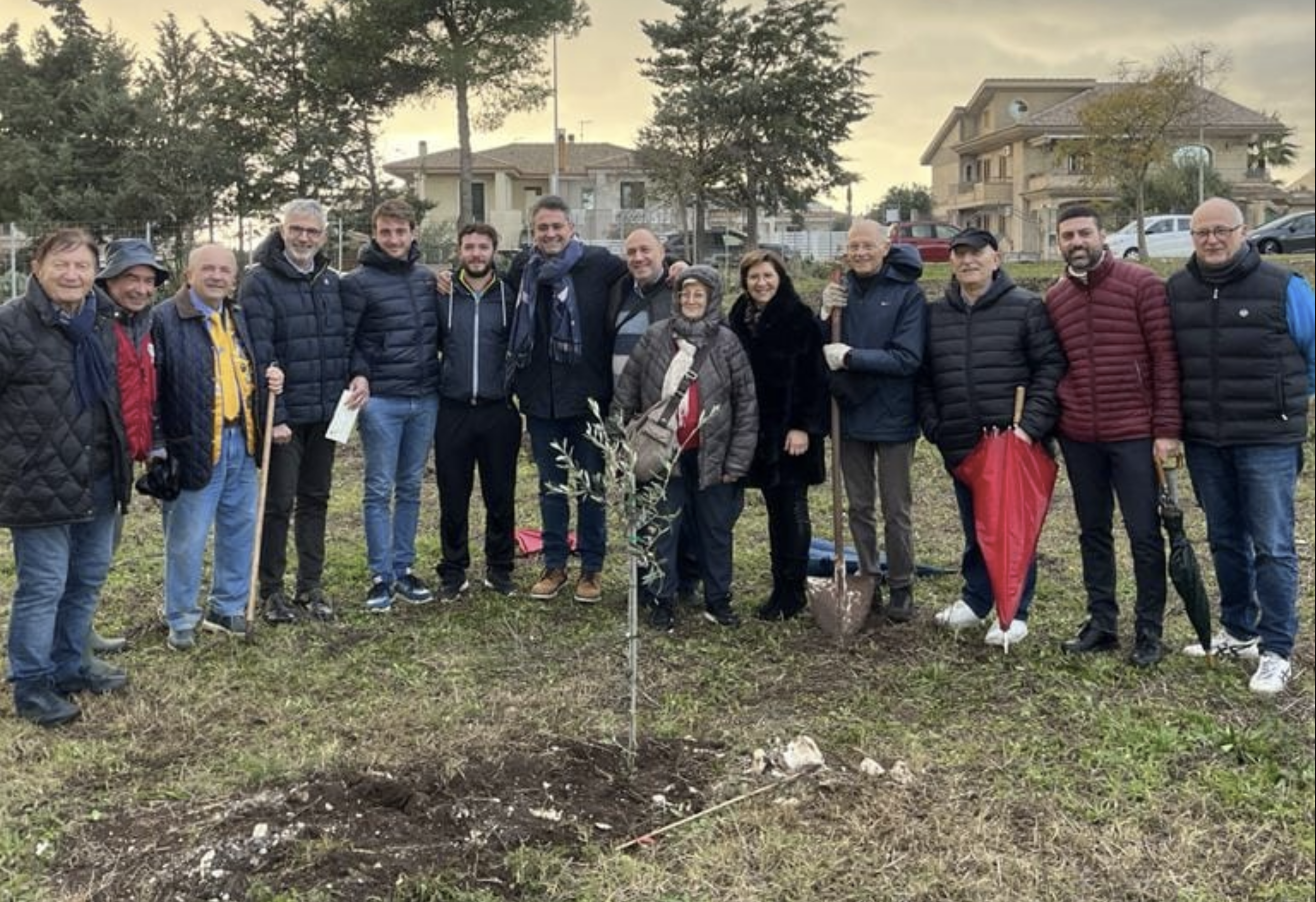 Più verde in città: piantati 51 alberi a Ragusa